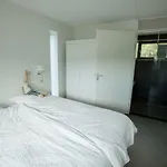 Aan Noordzee Veranda Huisdier Toegestaan Max 2 * Sint Maartensvlotbrug